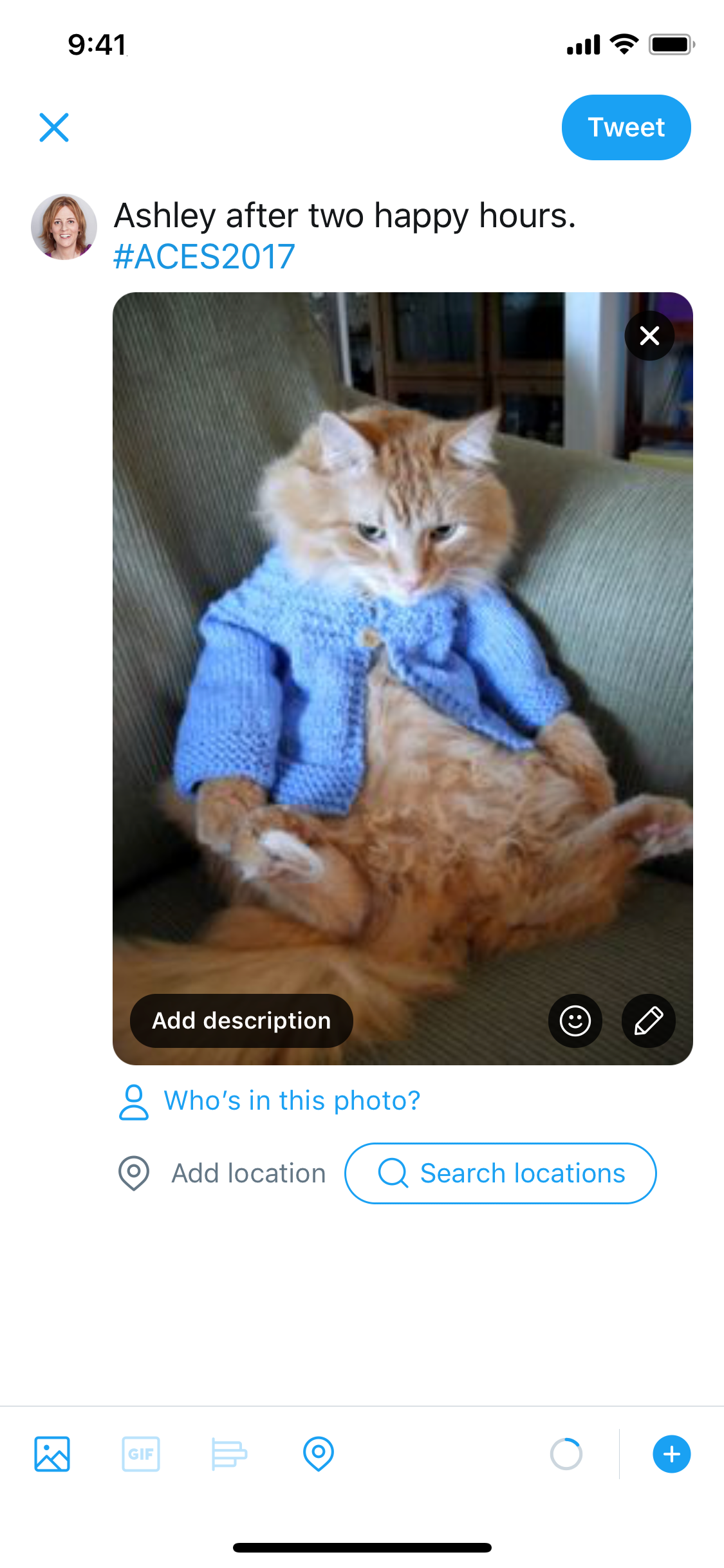 The new-tweet screen within the Twitter app for iOS with a draft tweet written and an attached image of a cat wearing a turquoise cardigan.