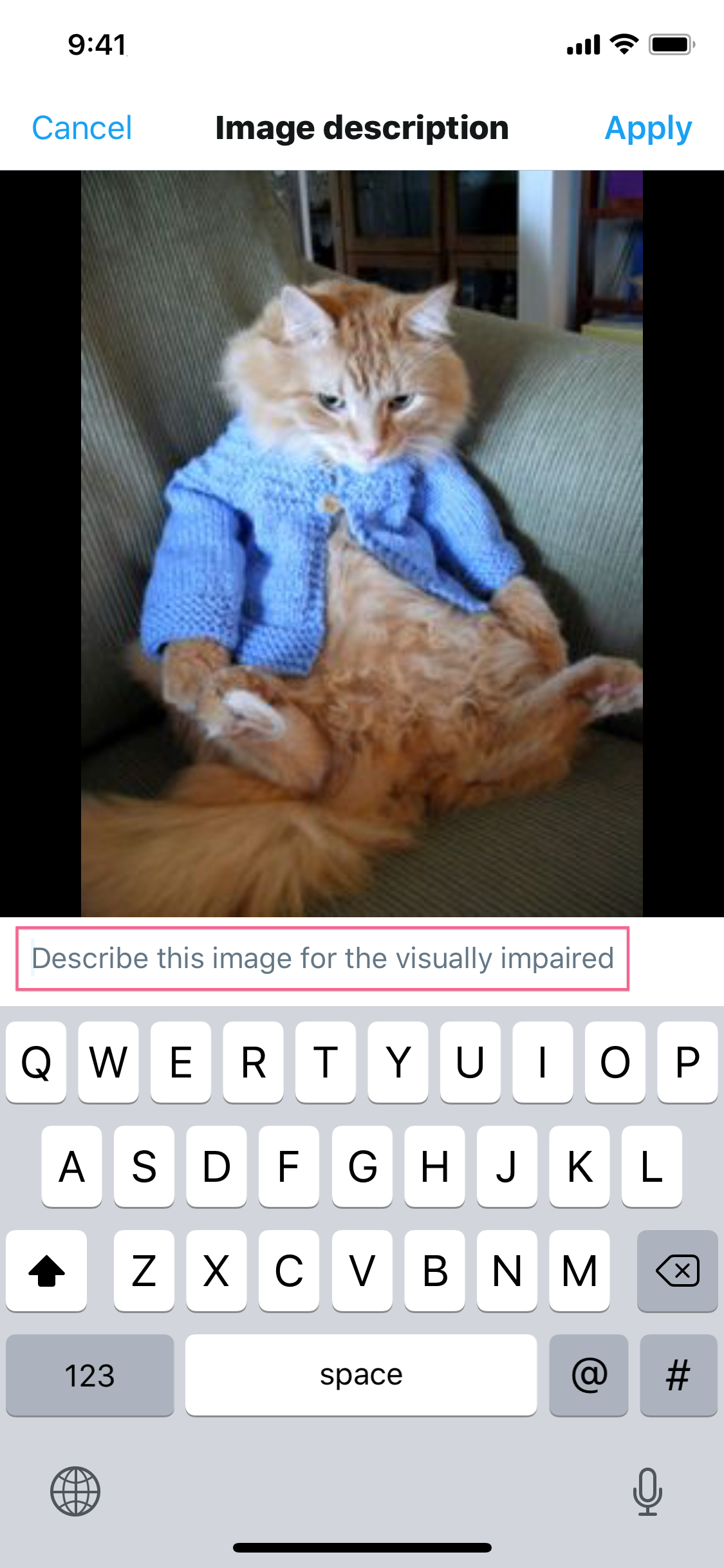 The new-tweet screen within the Twitter app for iOS with a draft tweet written and an attached image of a cat wearing a turquoise cardigan. An annotation highlights the textbox where users can type in a description of the image after having pressed the 'Add Description' button that was overtop the image.