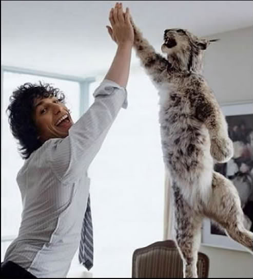 Andy Samberg leaps toward a bobcat's outstretched paw to exchange a high five